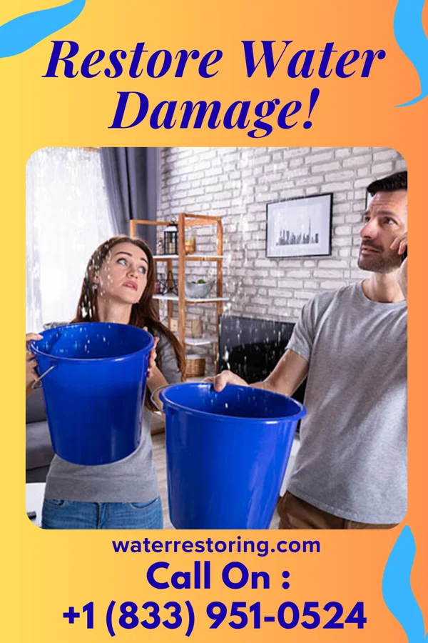 water restoration New Extraction Masters Columbus City