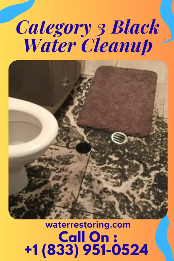 Category 3 Black Water Cleanup in Columbus City, IA