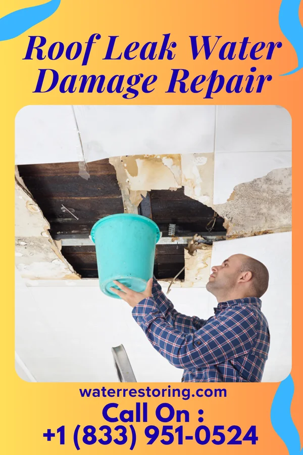 Roof Leak Water Damage Repair in Columbus City, IA