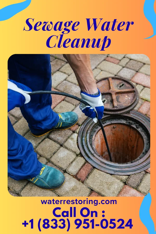 Sewage Water Cleanup in Columbus City, IA
